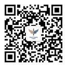 云顶国际 Vision Plus Capital