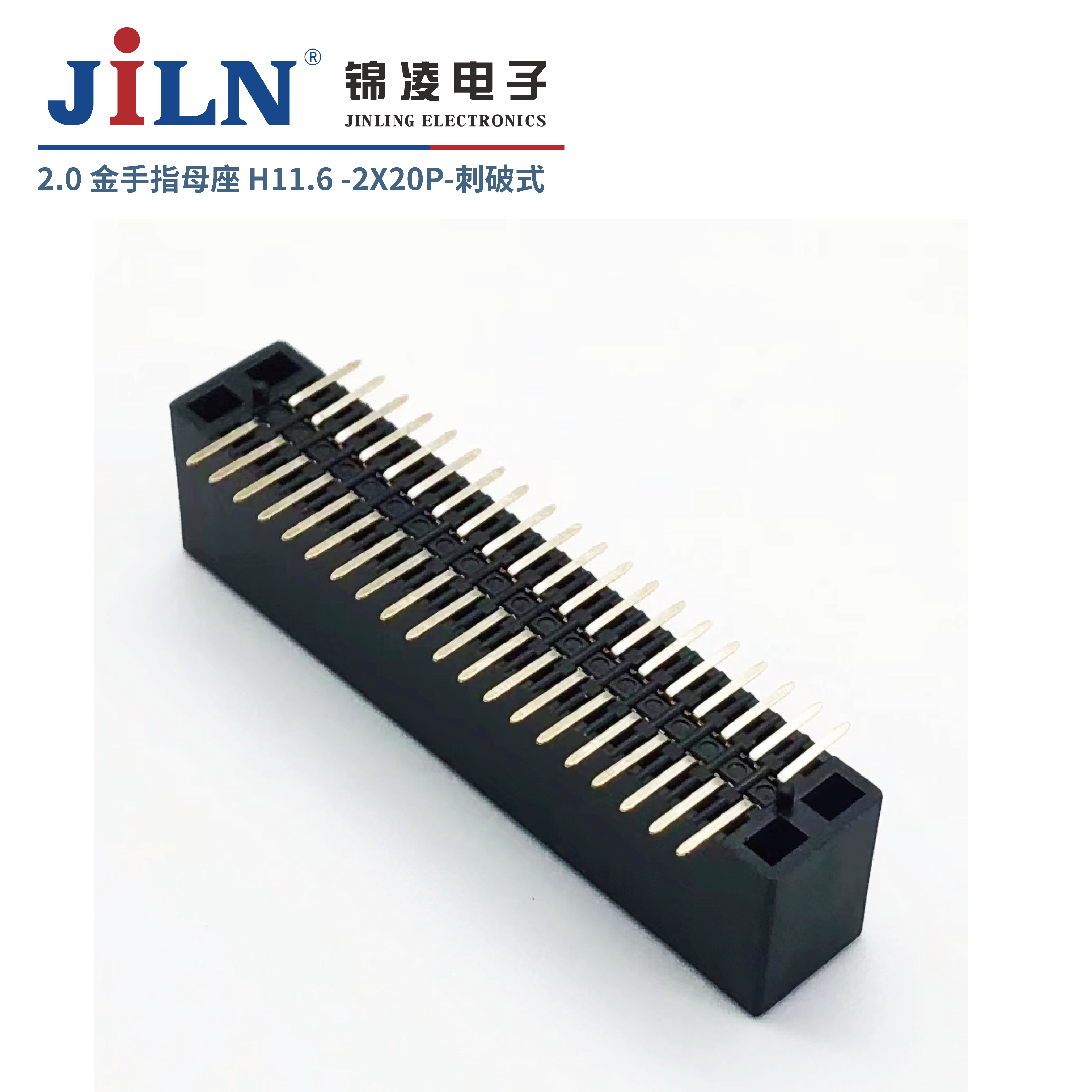 2.0mm����ָ/ĸ��/����ʽ/H11.6