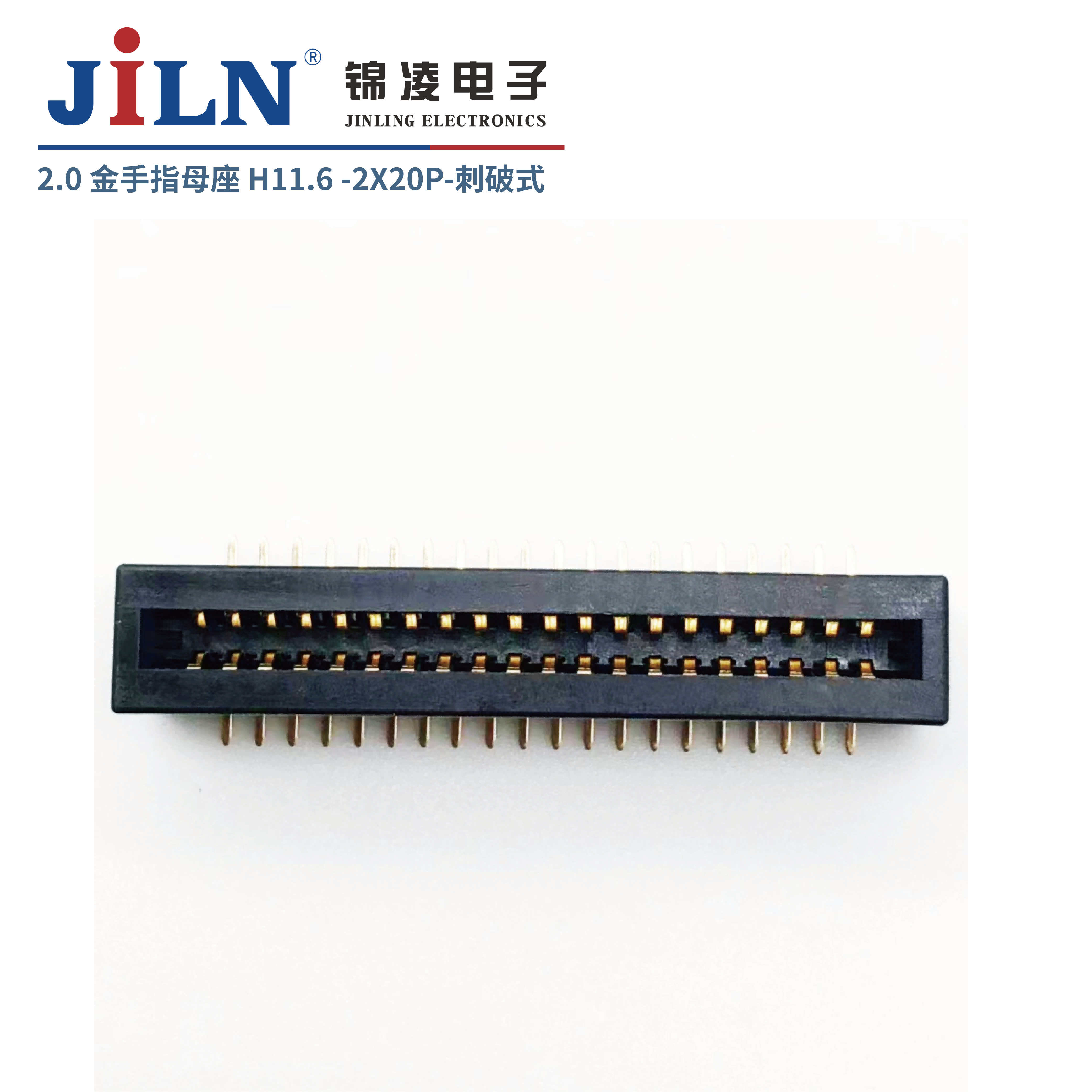 2.0mm����ָ/ĸ��/����ʽ/H11.6