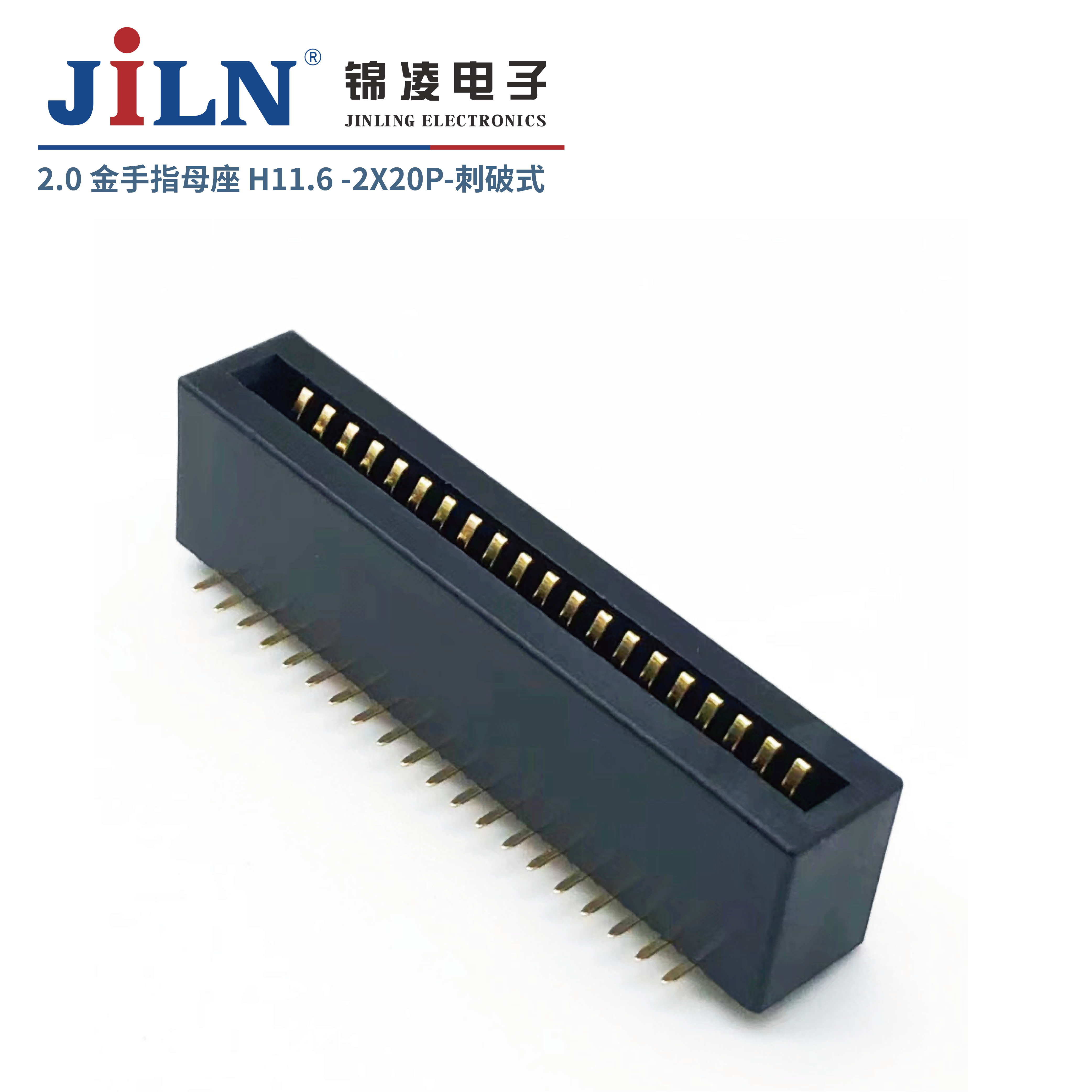 2.0mm����ָ/ĸ��/����ʽ/H11.6