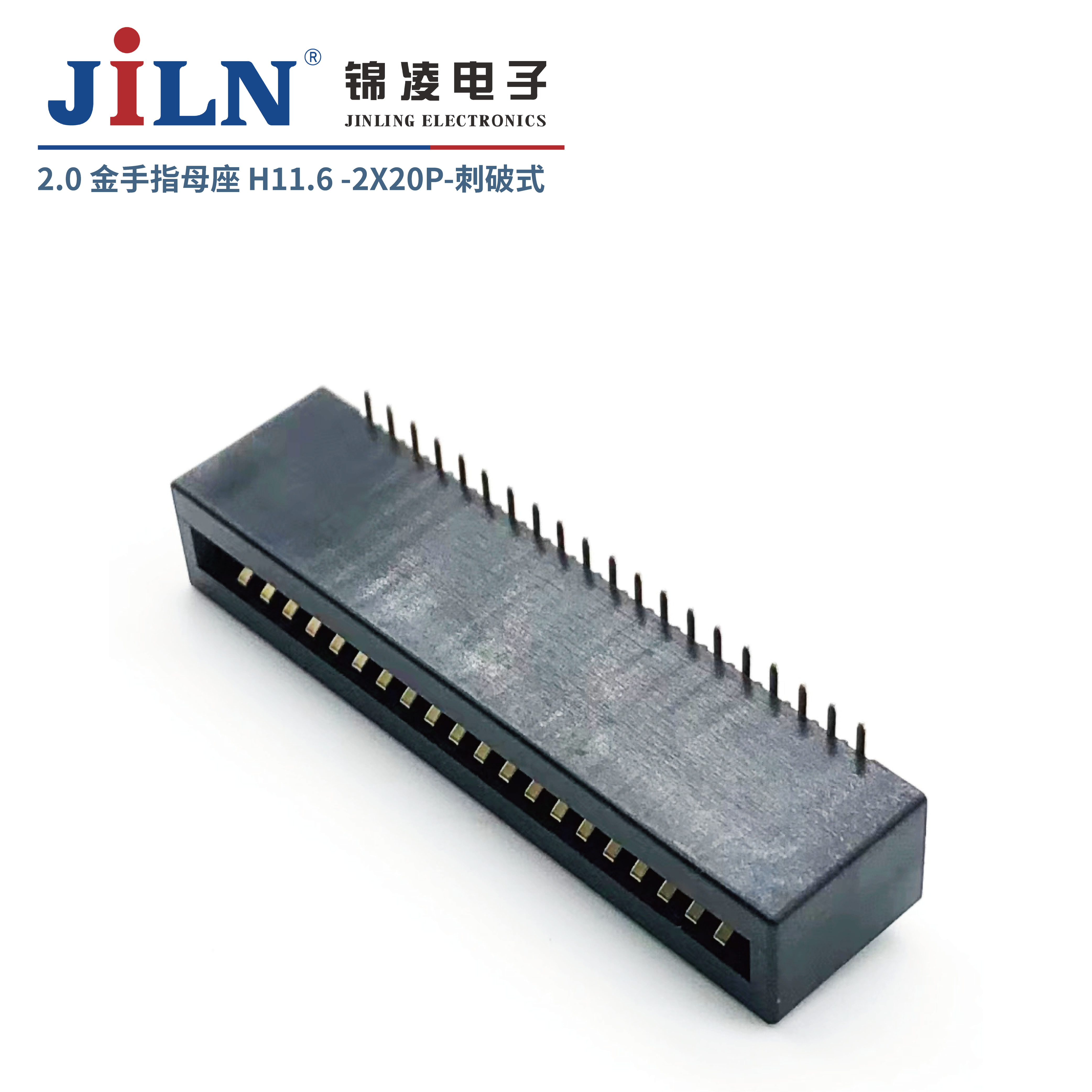 2.0mm����ָ/ĸ��/����ʽ/H11.6