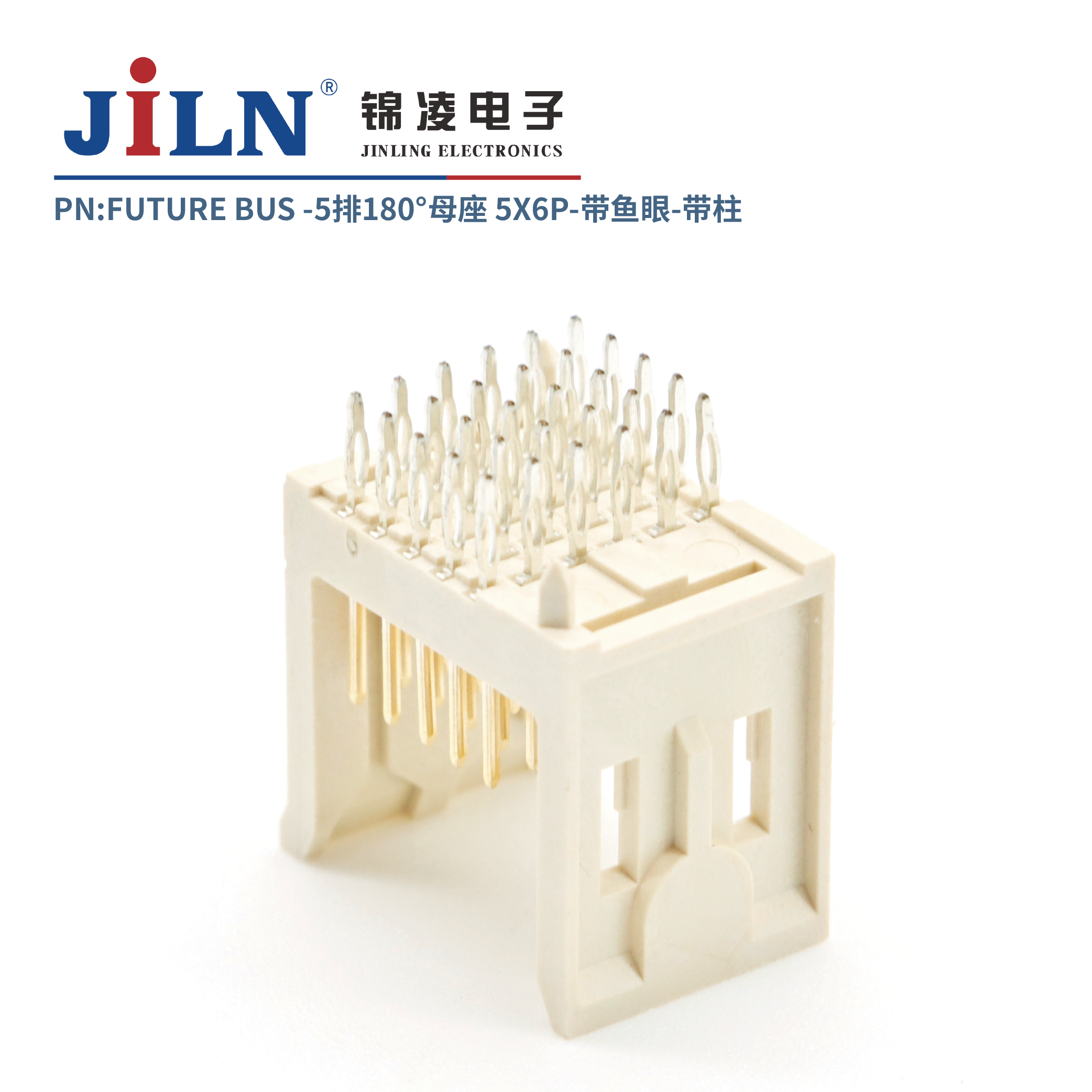 FUTURE BUS/5*6P/180�㹫��/�����⺸ʽ/����