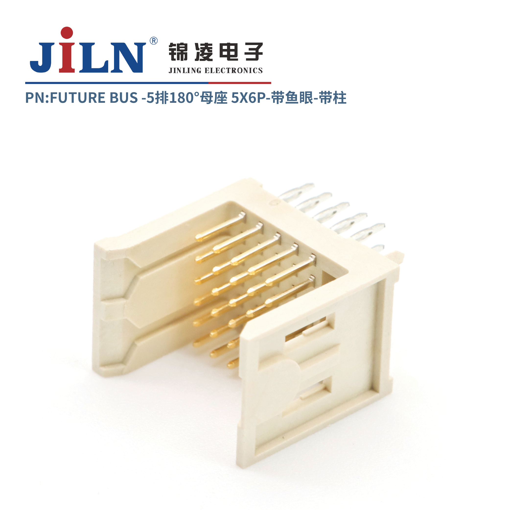 FUTURE BUS/5*6P/180�㹫��/�����⺸ʽ/����