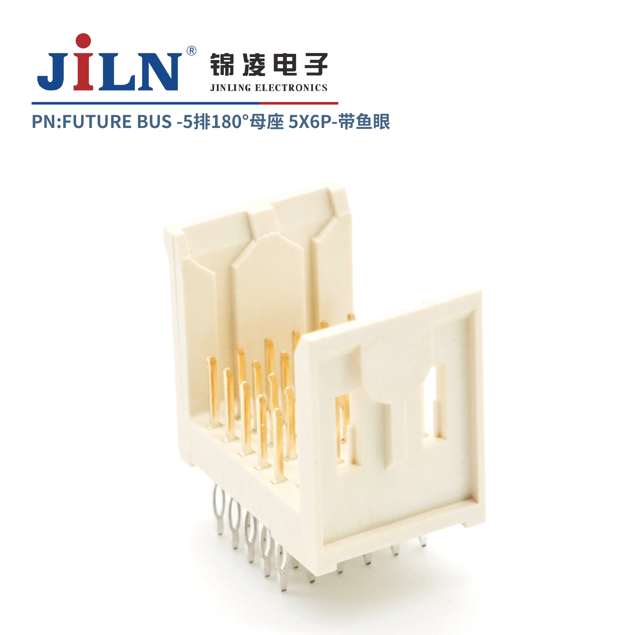 FUTURE BUS/5*6P/180�㹫��/�����⺸ʽ