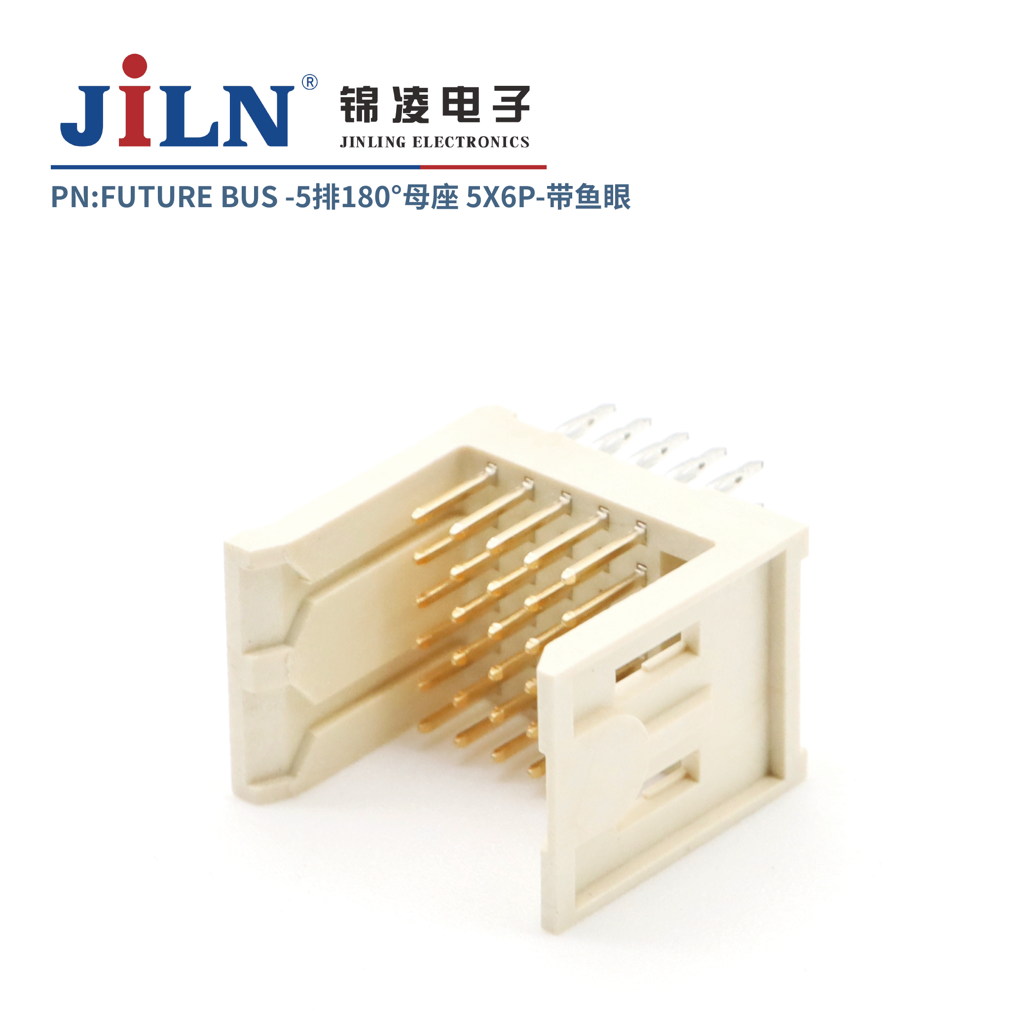 FUTURE BUS/5*6P/180�㹫��/�����⺸ʽ