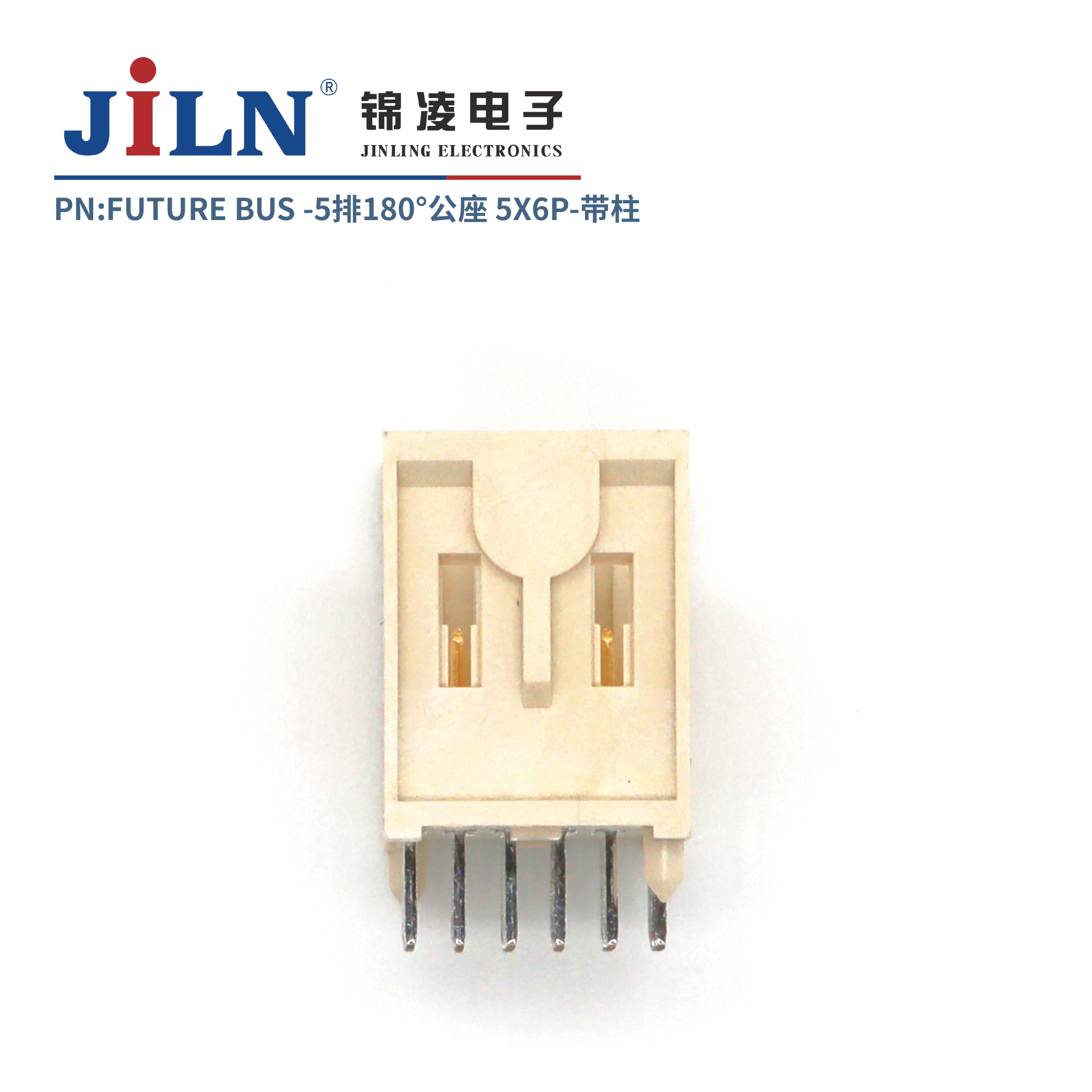 FUTURE BUS/5*6P/180�㹫��/����