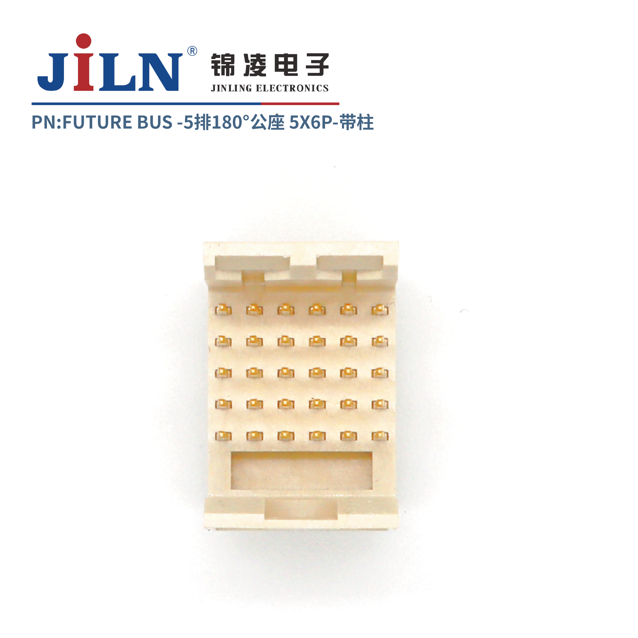 FUTURE BUS/5*6P/180�㹫��/����