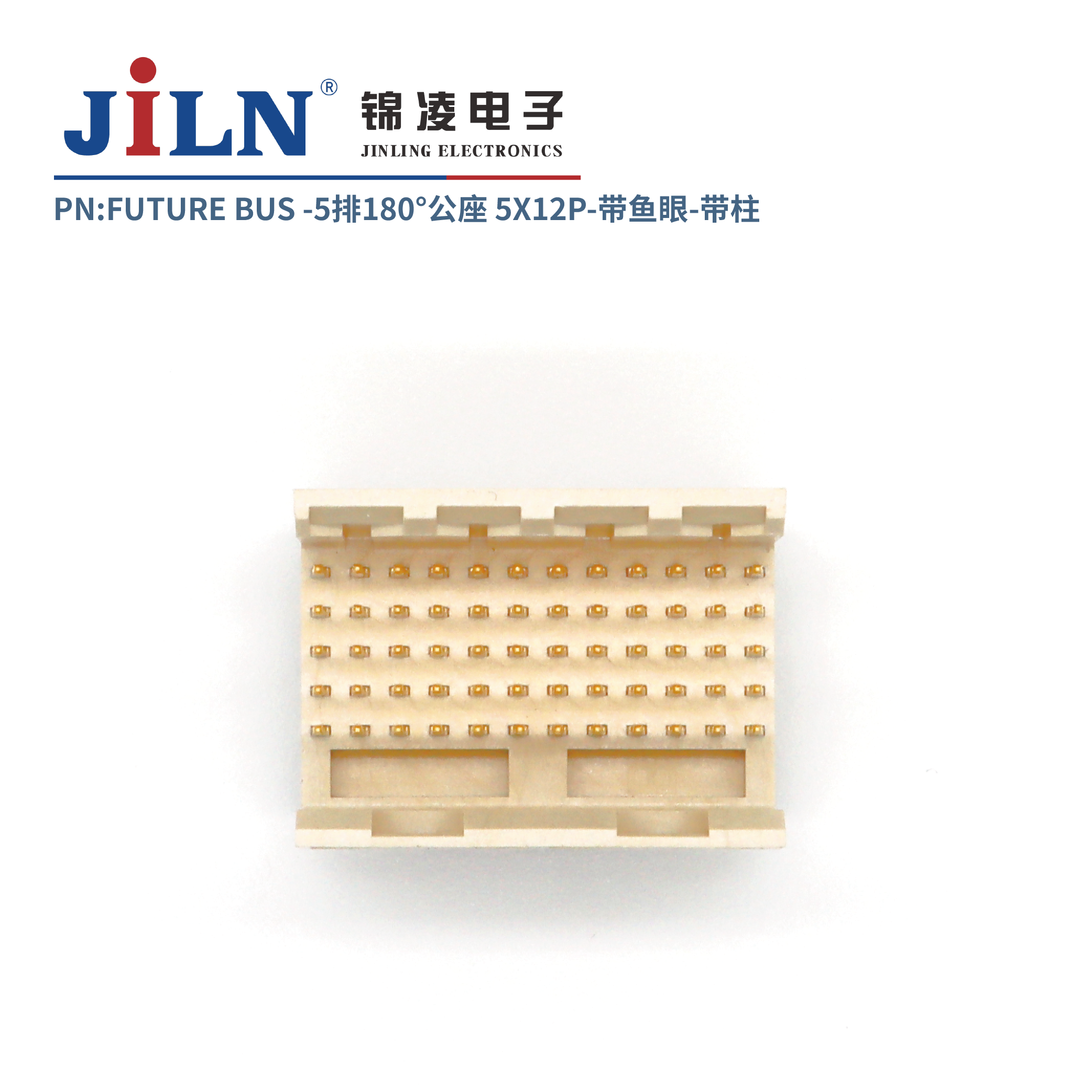 FUTURE BUS/5*12P/180�㹫��/�����⺸ʽ/����