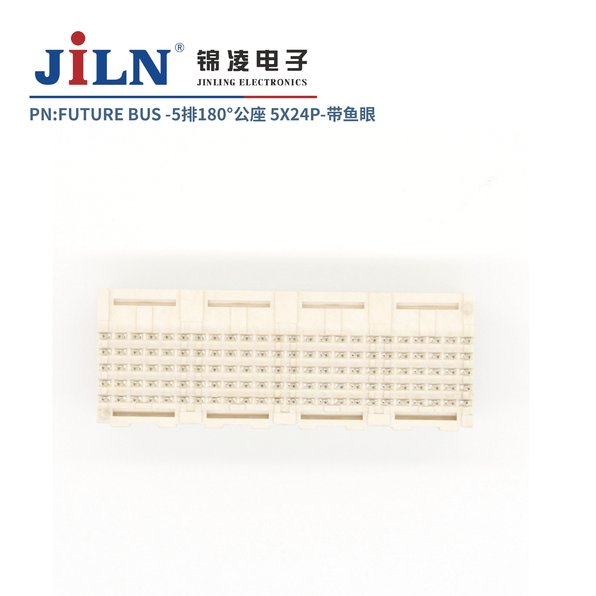 FUTURE BUS/5*24P/180�㹫��/�����⺸ʽ
